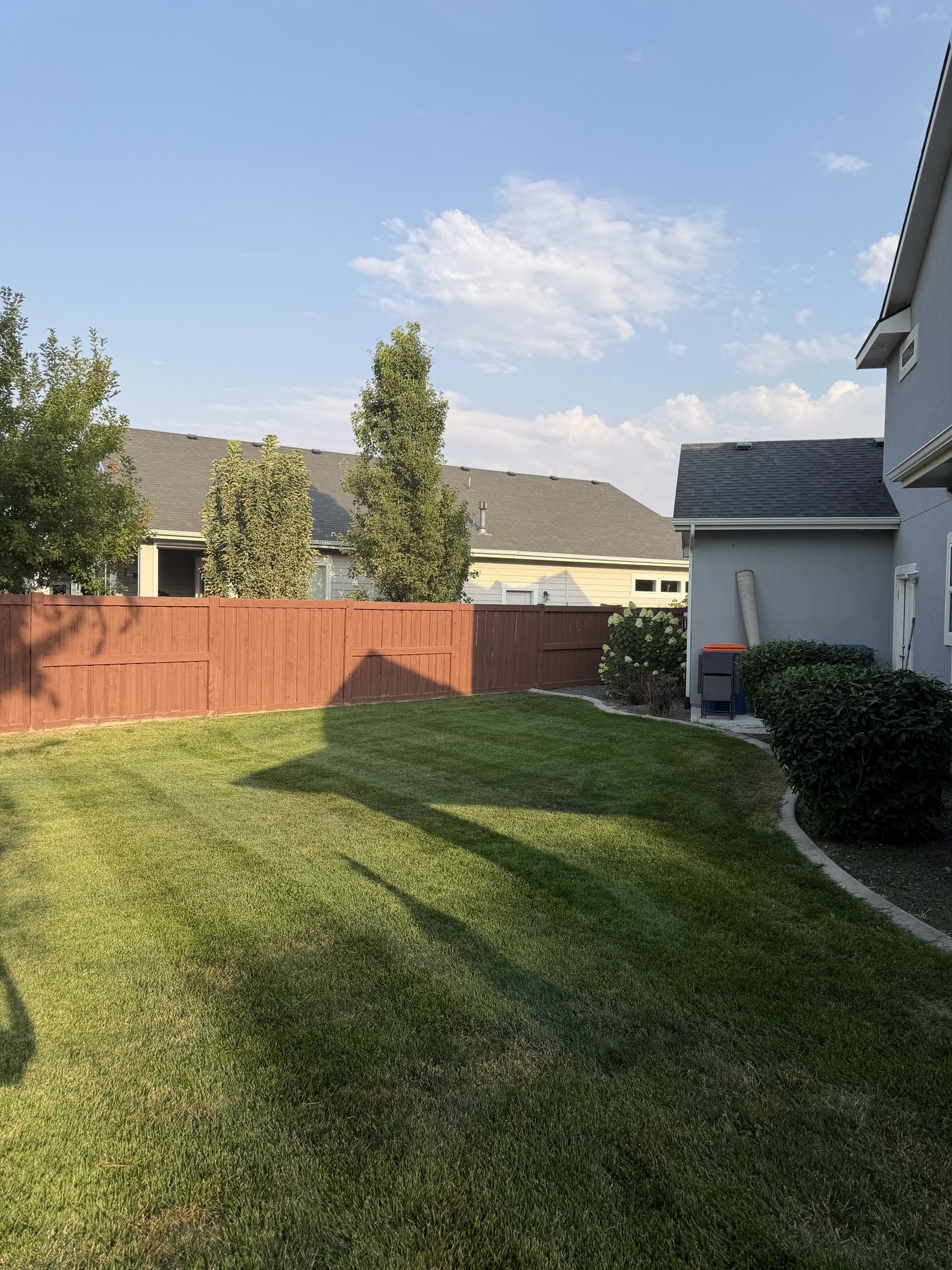Freshly maintained backyard lawn