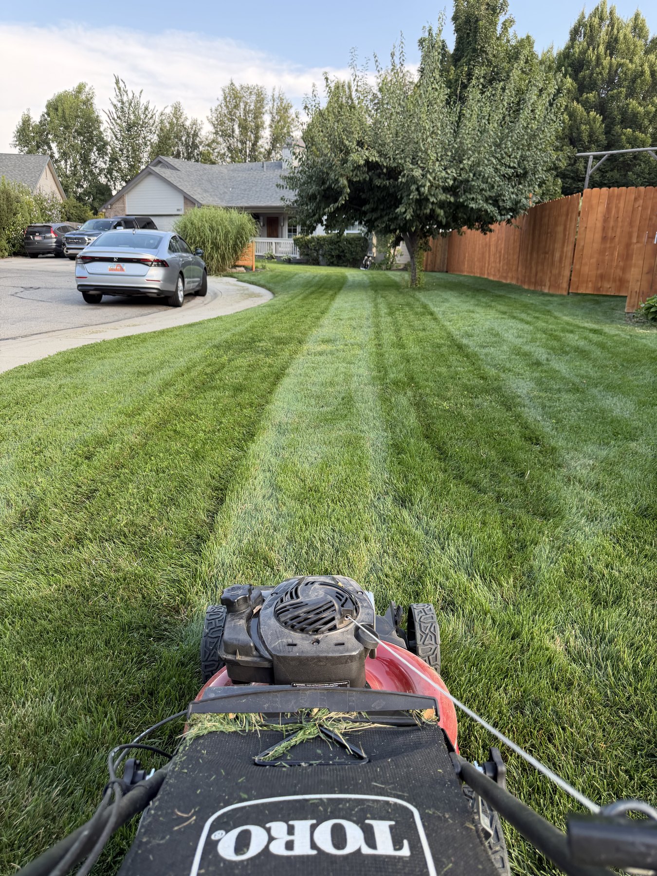 Freshly striped lawn after BlackOut Landscape mowing service