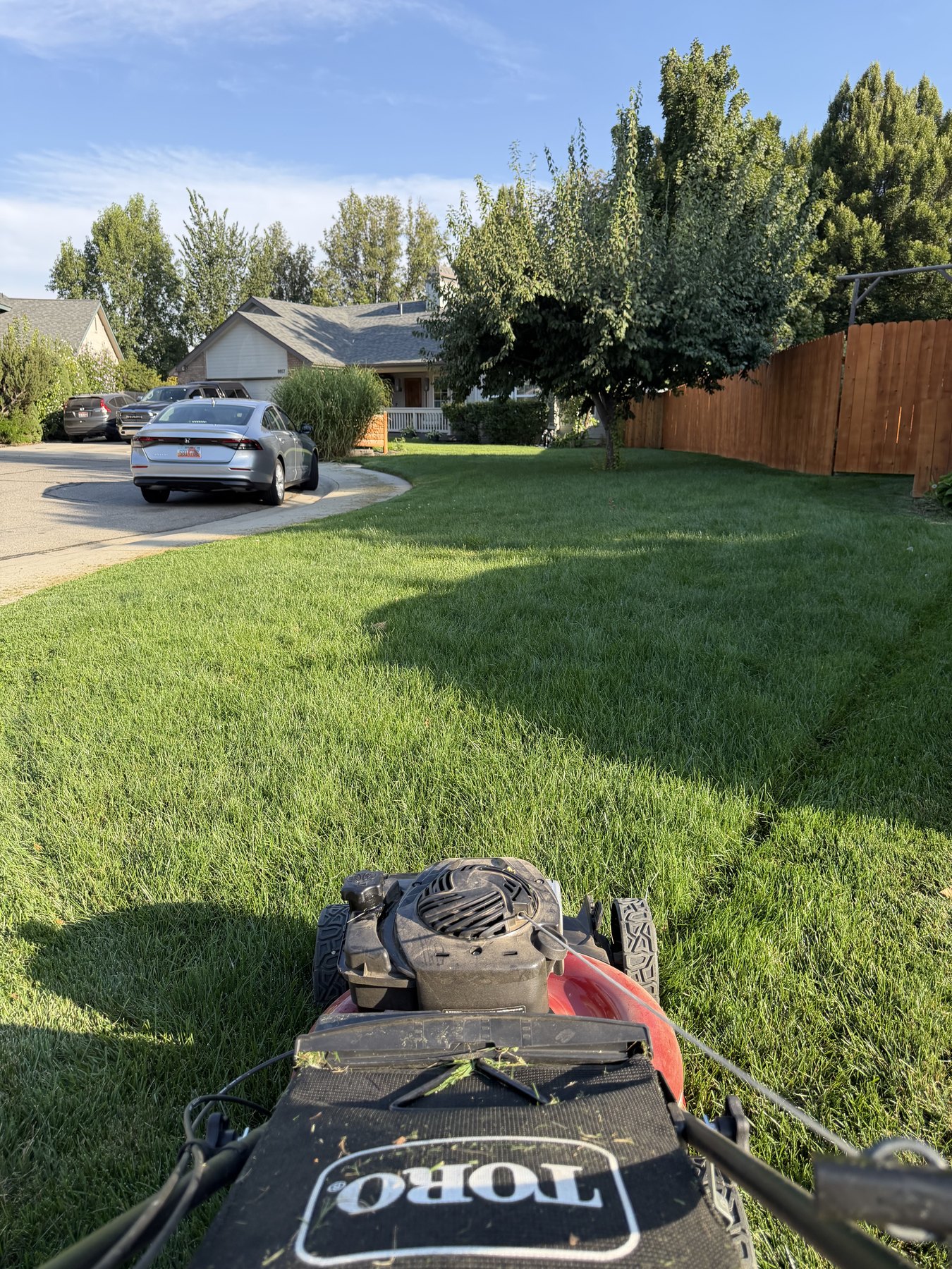 Lawn before BlackOut Landscape mowing service